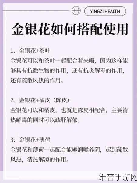 双管齐下TXL金银花:1. 双管齐下:TXL金银花的全面拓展策略