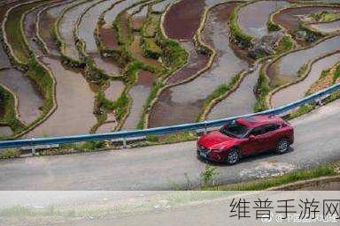 双胞胎姐妹齐上阵秘境探险说奇遇：1. 双胞胎姐妹携手探索神秘秘境的奇妙冒险