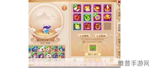 梦幻西游深度攻略，揭秘舍身击效果的层级变化