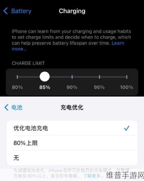 iOS15充电记录查询攻略，精准掌握电池充电次数，助力手游畅玩