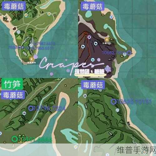 创造与魔法，毒蘑菇位置详解与采集攻略