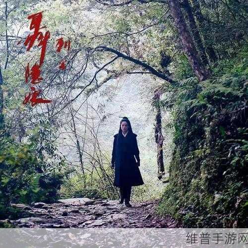 聂隐娘：1. 聂隐娘：刺客与情感交织的传奇人生