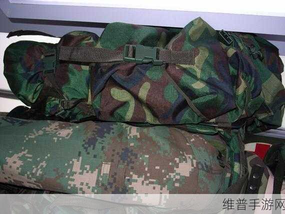 国产精品户外打野战产品市场前景：1. 国产户外打野战装备：市场潜力与未来趋势分析