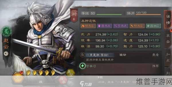 三国志战略版深度攻略,满宠与赵云的最佳阵容搭配