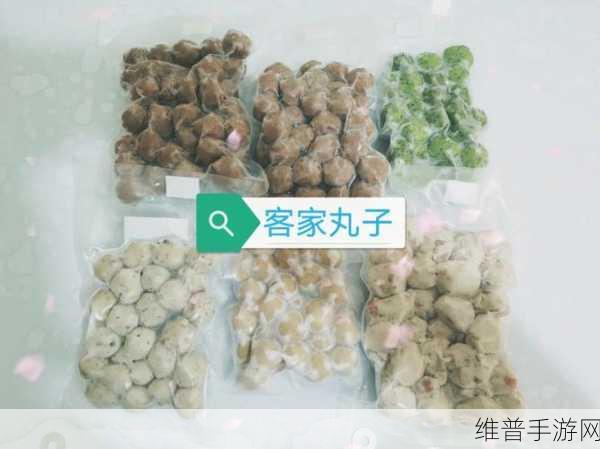 肉丸1979年美国：肉丸：美食与友情的奇幻冒险之旅
