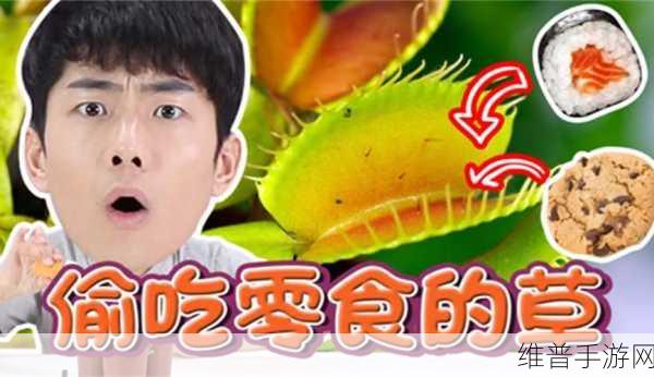 一小孩半夜吃坤风险：1. 半夜小孩偷吃坤风险：如何避免意外发生