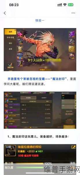 DNF手游攻略,揭秘后期瞬间伤害最高的职业