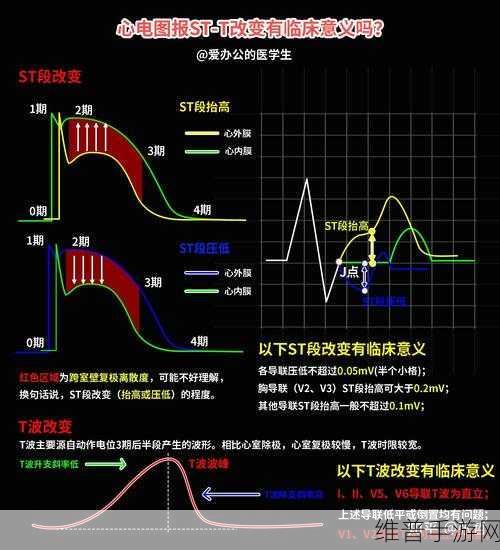 2对1初次体检4：1. 深入分析2对1初次体检的意义与价值