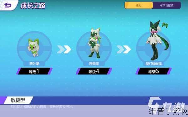 宝可梦大集结高级段位必选宝可梦指南