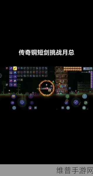 泰拉瑞亚魔力上限提升至 465 的详尽攻略