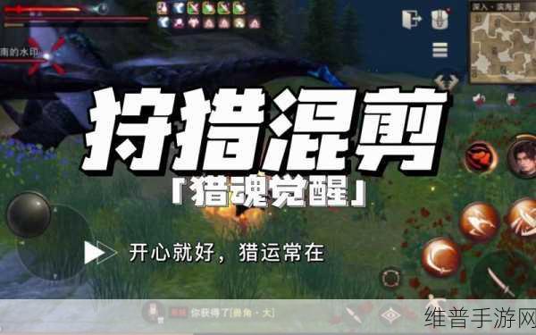 深度解析猎魂觉醒，玩法精髓与猎运常在游骑兵