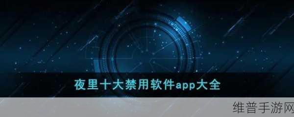 18款夜里必备的禁用软件大全：1. 夜晚安全上网必备：禁用软件全攻略