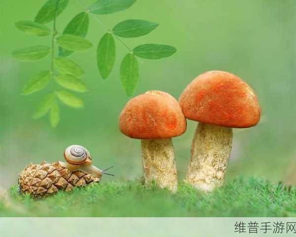 7x7x7x7x任意槽蘑菇：1. ＂探秘7x7x7x7x蘑菇的宇宙奥秘与应用