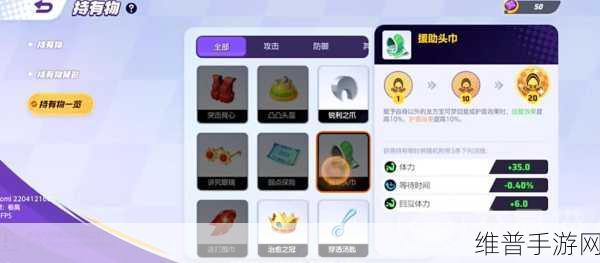 宝可梦大集结，持有物升满全攻略——揭秘所需材料与数量