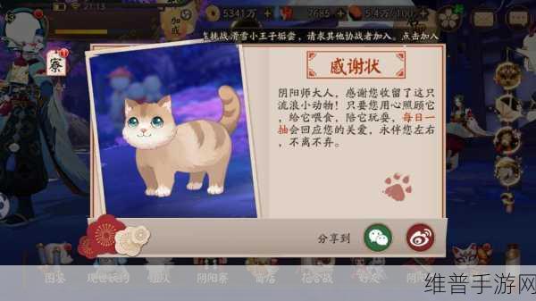 阴阳师劫财猫，独特魅力与多样用途全面解析