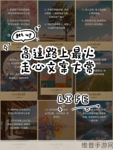 适合做前看的短篇小说的南方高速：1. 《南方高速：追逐梦想的路途