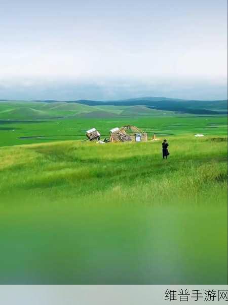 青青草是针对：当然可以，以下是针对“青青草”主题拓展出的新