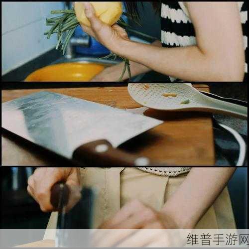 一边做饭一边躁狂我：1. 在厨房的狂欢时刻：边做饭边释放激情