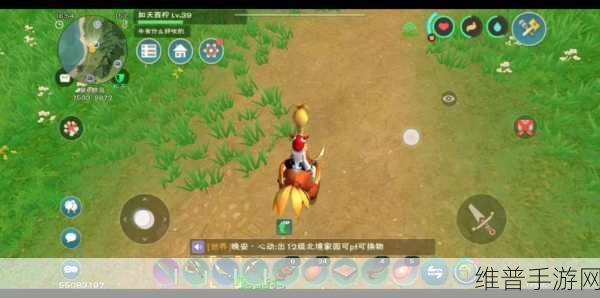 创造与魔法，毒蘑菇获取秘籍大揭秘——开宝箱大法，探索游戏新篇章