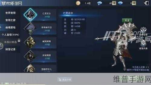 梦幻西游手游金石之域周首领挑战攻略，全面解析与实战技巧