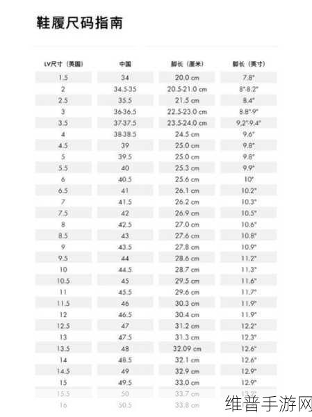 欧洲尺码日本尺码专线图片展示：1. 从欧洲尺码到日本尺码的转换指南