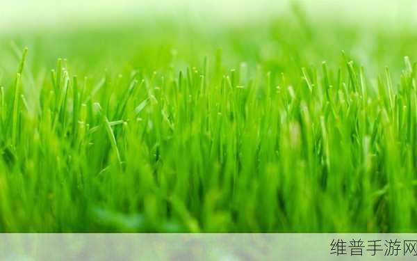 嫩草精产一二三产区：1. 嫩草精产区分析：一二三产的市场潜力
