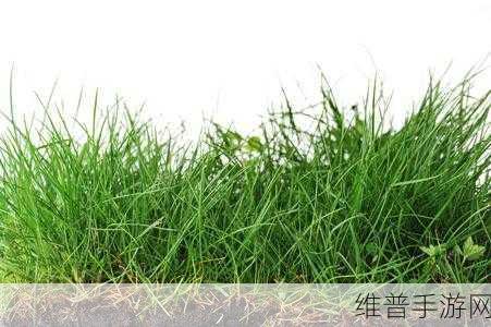 嫩草精产一二三产区:1. 嫩草精产区分析:一二三产的市场潜力