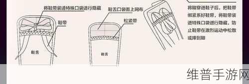 松紧重要还是水重要：1. 在生活中，松紧与水的平衡如何影响我们的健康