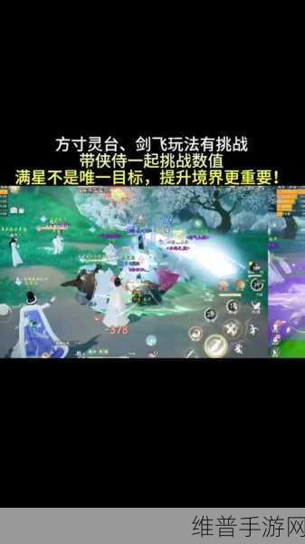 射雕手游方寸灵台通关秘籍第一章
