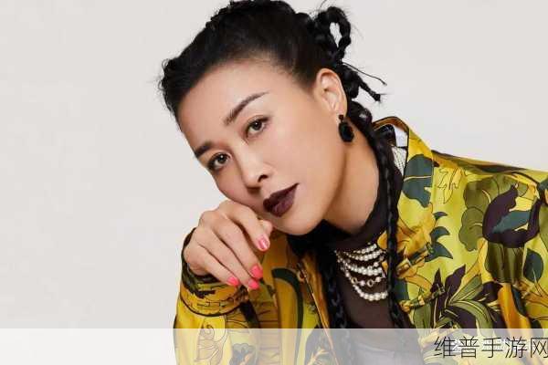 那英BB是什么样子的：1. 那英BB的魅力与风格：一位音乐传奇