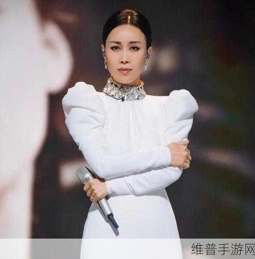 那英BB是什么样子的：1. 那英BB的魅力与风格：一位音乐传奇