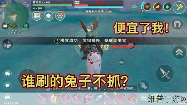 创造与魔法月战兔攻略，揭秘月战兔的捕捉与战斗细节