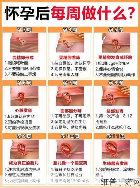 如何让母亲怀孕：1. 如何科学有效地帮助母亲实现怀孕梦想
