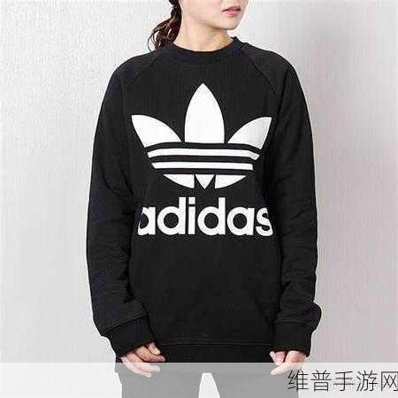 三叶草M码与欧洲码的区别:三叶草M码与欧洲码的对比分析及应用指南