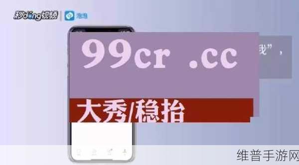 欧美区一码二码三码区别:1. 欧美市场一码、二码、三码的细致比较分析