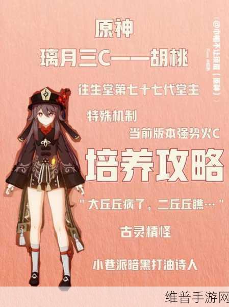 原神，胡桃全解析，技能、养成与配队秘籍