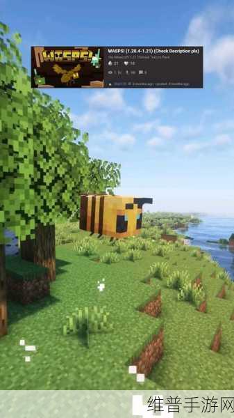 暴躁老外玩minecraft全新优化上线：1. 暴躁老外带你探索Minecraft全新优化世界