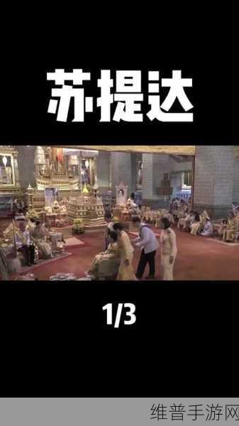 跪着主人走到面前应该怎么办:1. 如何正确引导跪着的主人走到面前