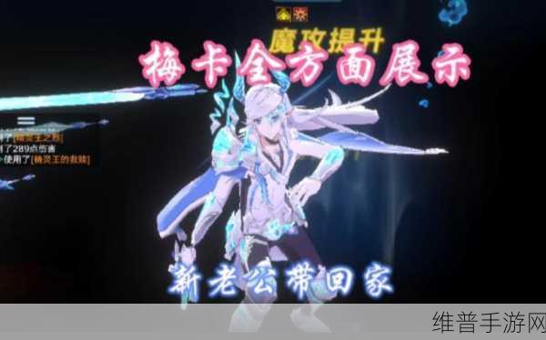 奥拉星手游，深度解析圣剑梅卡，技能与实力大揭秘