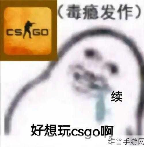 玩csgo的妹子：1. ＂从新手到大神，CSGO妹子的逆袭之路！