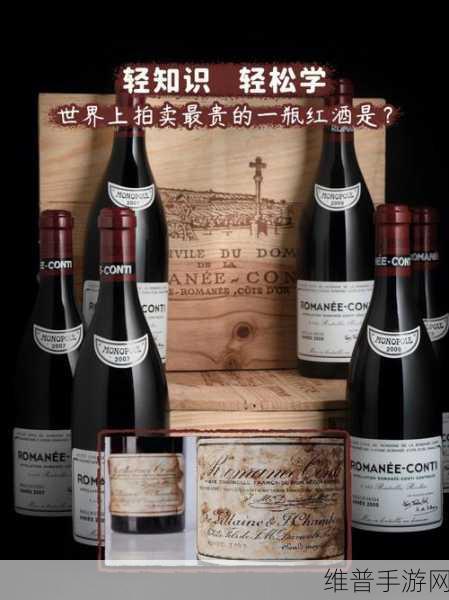 红酒装不下了1V2的解决方案：1. 红酒储存的终极解决方案：从容应对空间不足