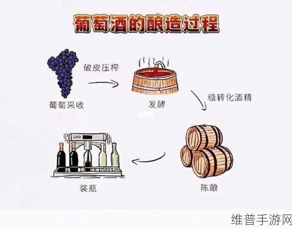 红酒装不下了1V2的解决方案:1. 红酒储存的终极解决方案:从容应对空间不足