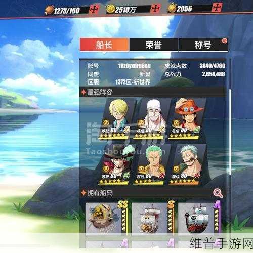 航海王热血航线，战力组成全揭秘