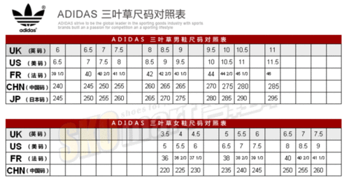 三叶草M码和欧洲码区别：了解三叶草M码与欧洲码的区别及其影响因素