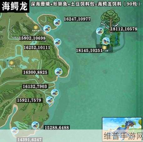 创造与魔法海鳄龙资质解析，深入探寻极品资质的秘密与特性探索