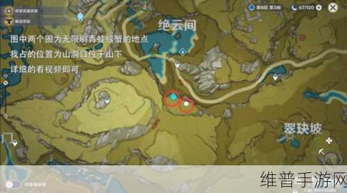原神攻略，全面解析远海夷地的瑚枝获取方法