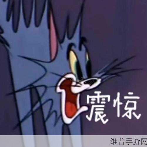 汤姆tom最新地域网名叫什么：1. 汤姆Tom：探索地域文化的多样性之旅