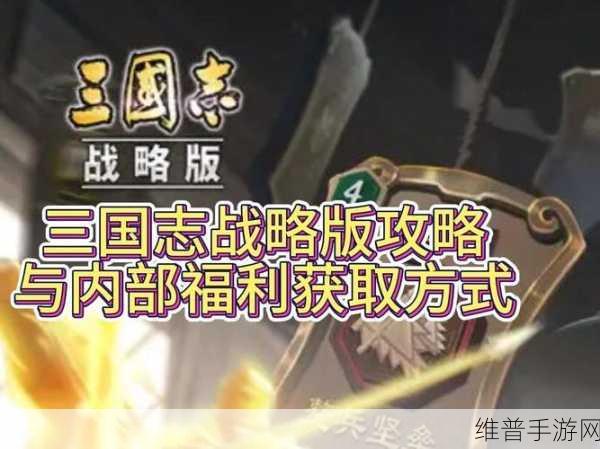 三国志战略版深度攻略，精准定位与攻略6级地块