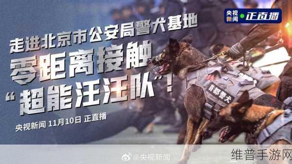 张警犬三部曲在哪里：当然可以，以下是基于张警犬三部曲拓展出的新标题示例：
