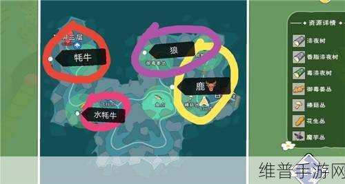 小森生活手游攻略，揭秘止风草的刷新机制与地图分布